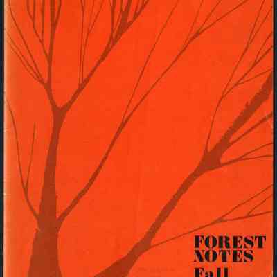 Forest Notes