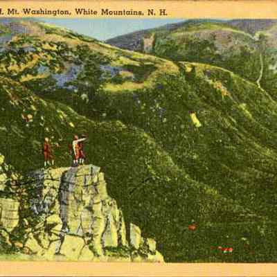 The Great Gulf, Mt. Washington , White Mountains, N. H.
