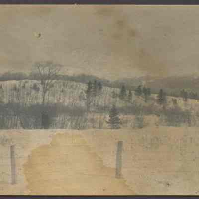 Snowy Fields