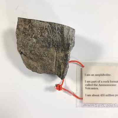 Amphibolite Sample