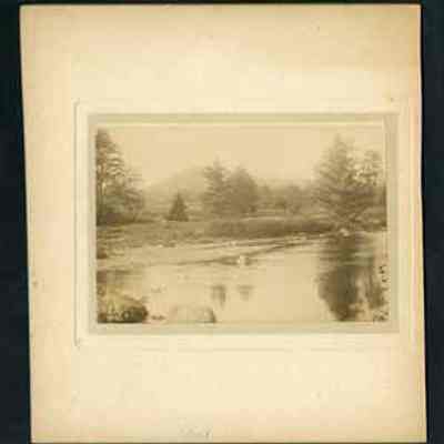 Roadside River With Fences