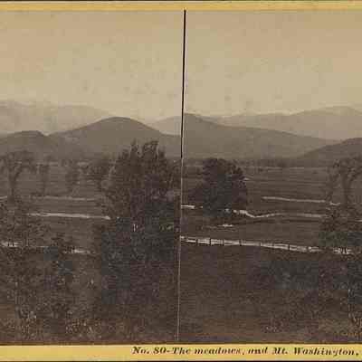 The meadows and Mt Washington North Conway NH