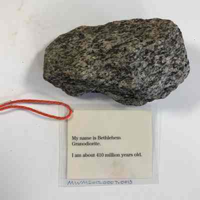 Bethlehem Granodiorite Sample