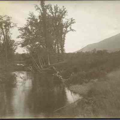 Clearing by a River