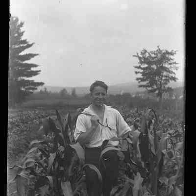 Farmer in his Field