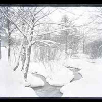 Snow Covered Stream