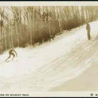 1246- Racing on Wildcat Trail