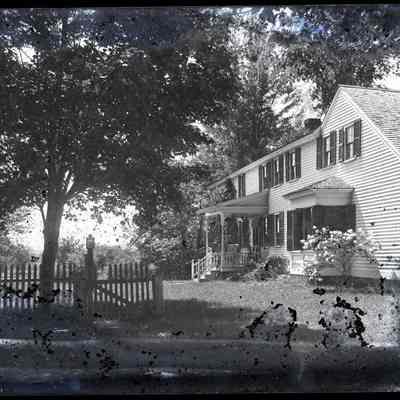 House and Maple Tree