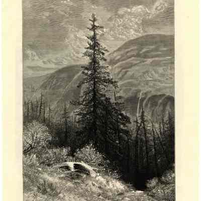 CANON-MOUNTAIN CLIFF, WHITE MOUNTAINS - F. Hopkinson Smith / WOLF IN TROUBLE - After L. Beckmann.