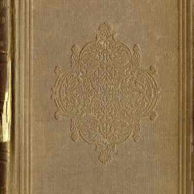 The Snow Image and Other Twice Told Tales