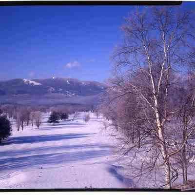 Moat Mountain N. Conway, NH