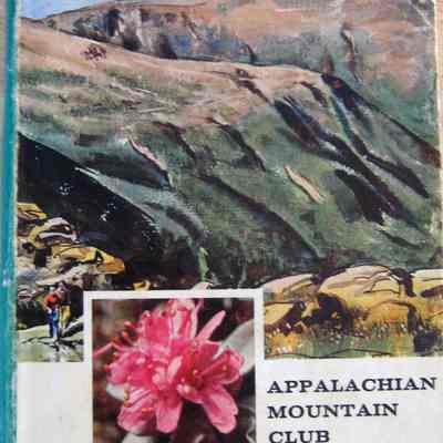 Mountain Flowers of New England