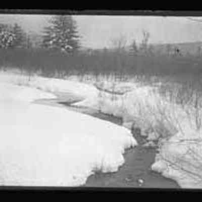 Snow Scene