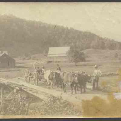 Oxen Cart Crossing Bridge
