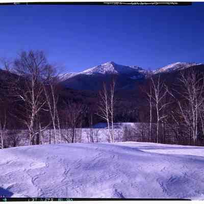 Mt. Adams from Glen House, NH