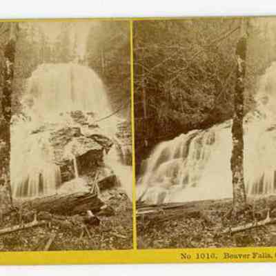 No. 1016. Beaver Falls, Colebrook, N.H.