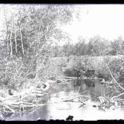 Horse-drawn Cart in Stream