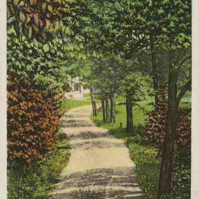 Lover's Lane, Sugar Hill, White Mountains NH