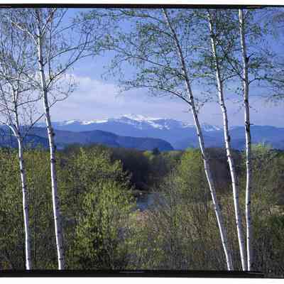 Mt. Washington from Conway, NH