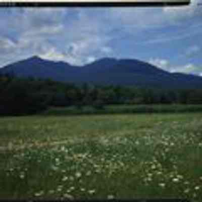 Mt. Adams and Mt. Madison Behind Field