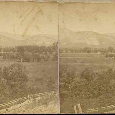 Stereoview