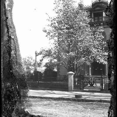 Building with Tree
