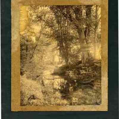 Stream Through the Woods