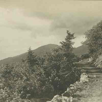 The Mt. Pleasant Trail. White Mts., N.H