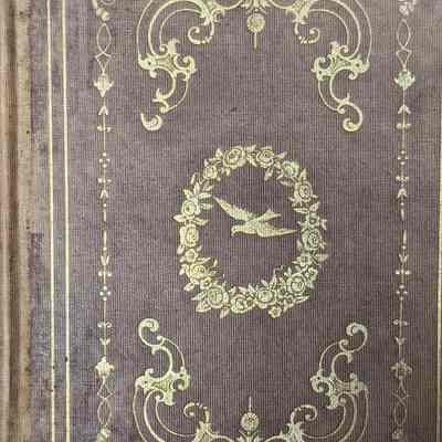 The White Dove and Other Poems for Children
