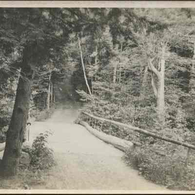 Small Bridge on a Dirt Road