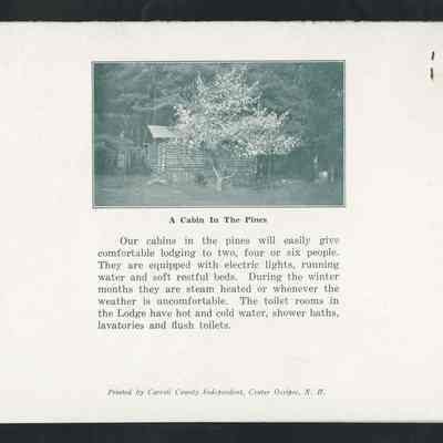 Copyright: Possibly Under Copyright