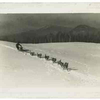 Dog Sled