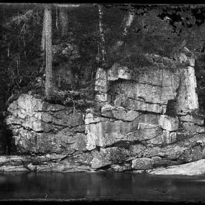 Rock Cliff with Trees