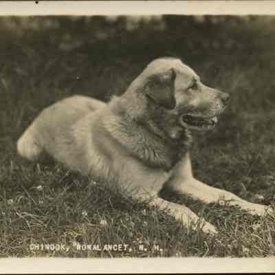 Chinook, Wonal Ancet, NH