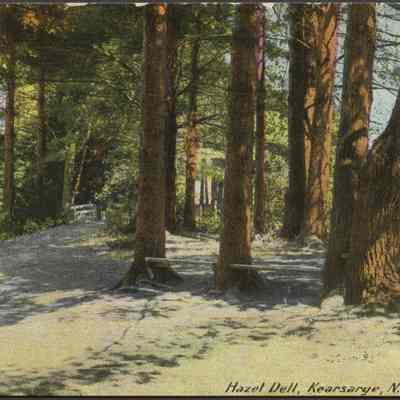 Hazel Dell, Kearsarge, N.H.