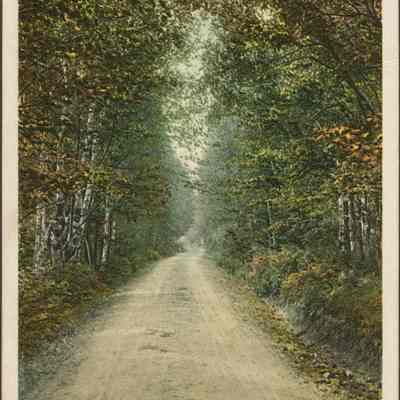 Swasey Lane, Bethlehem, White Mountains NH