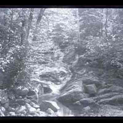 Stream in the Woods