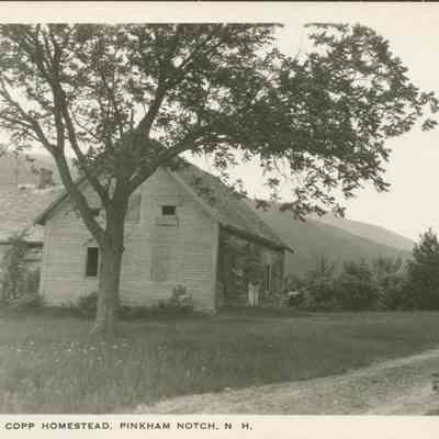 Dolly Copp homestead, Pinkham Notch NH