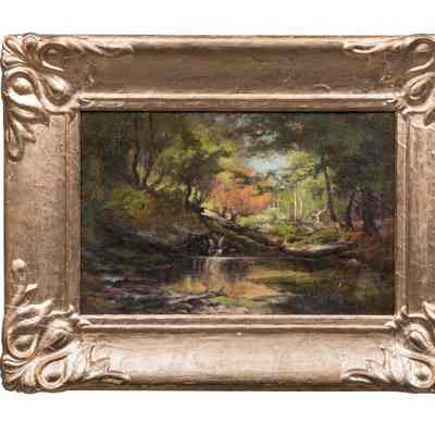 Woodland Pool