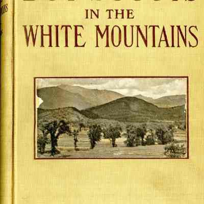 Boy scouts in the White Mountains; the story of a long hike, by Walter Prichard Eaton; illustrated by Frank T. Merrill.