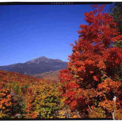Mt. Adams from Pinkham Notch, NH