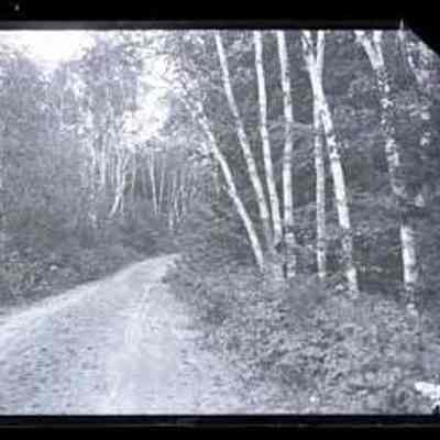 Dirt Road