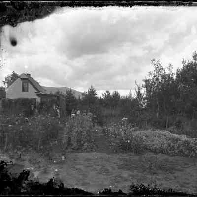 House and Garden