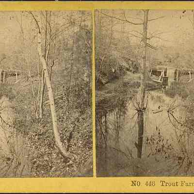 Trout Farm, Meredith NH.