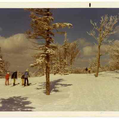 Skiing at The Balsams