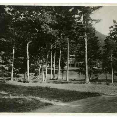 The Balsams