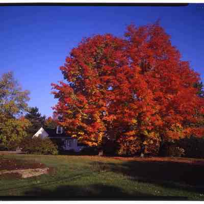 House in Intervale, NH