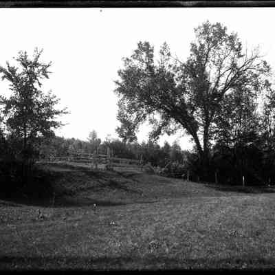 Fence and Trees