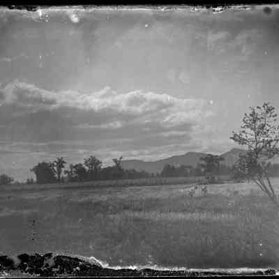 Children in a Field