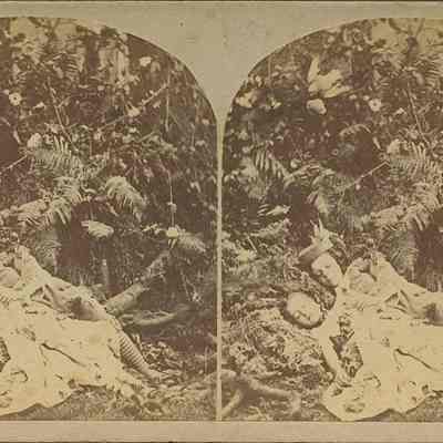 The Children in the Woods